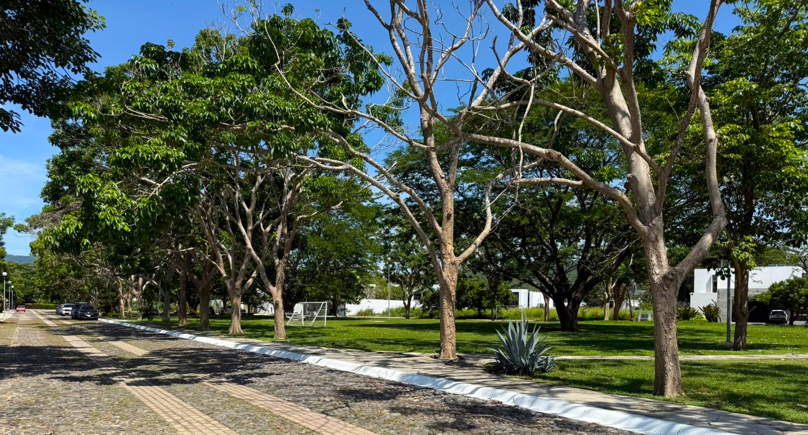 Image 3 for La Ceiba carousel