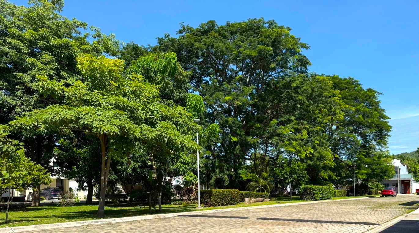 Image for La Higuera carousel: lahiguera8.jpeg